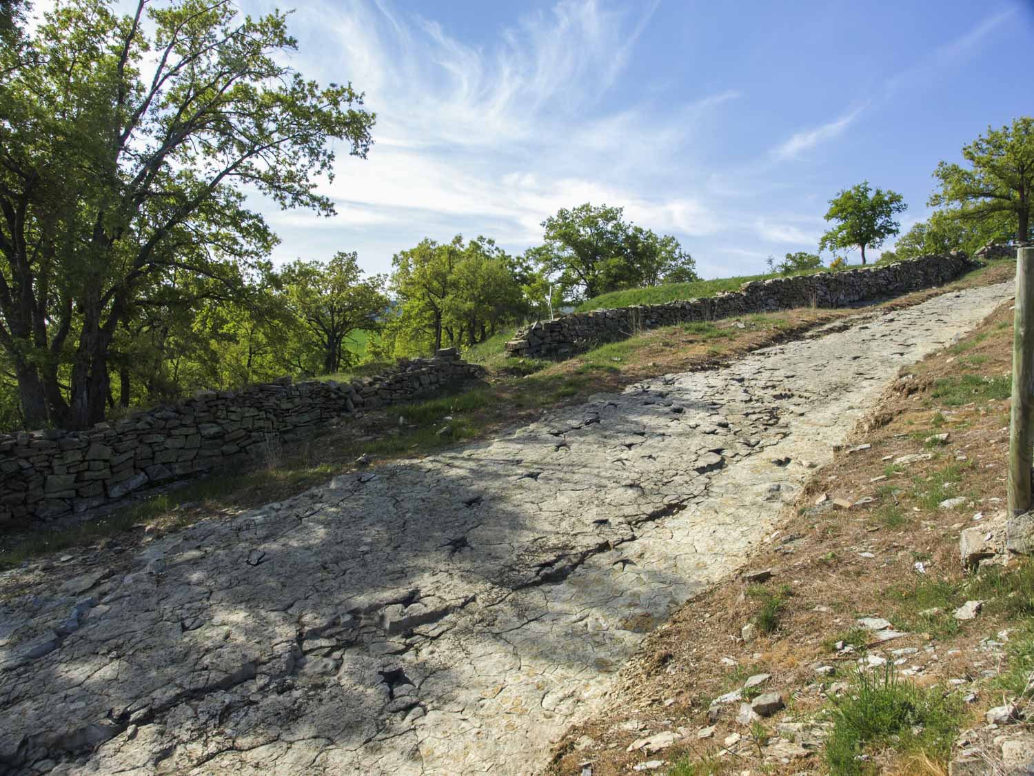 Fuente Lacorte - El Frontal